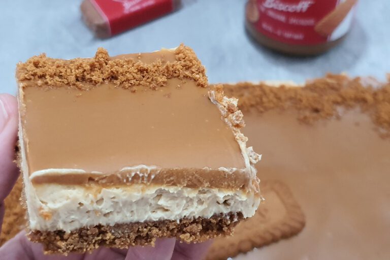 cheesecake speculoos