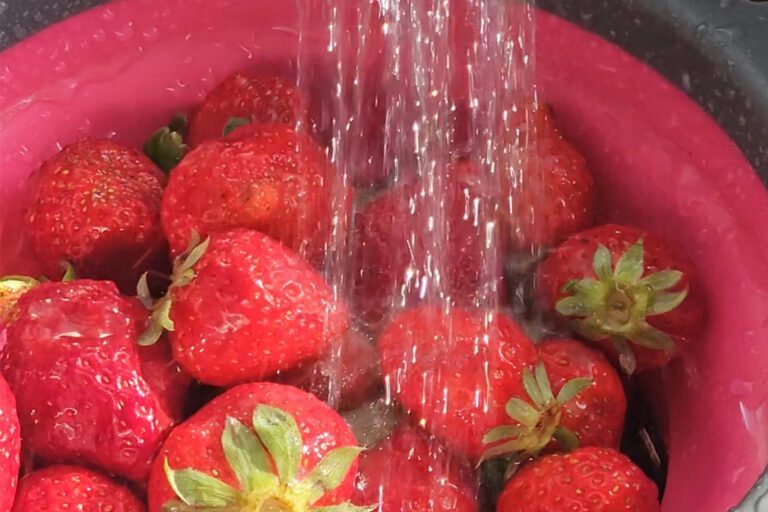 coulis de fraises