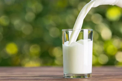 20 aliments qui sont blancs 8