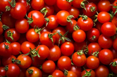 bruschetta tomates mozzarella 4