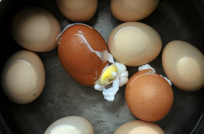 congeler des oeufs durs 5