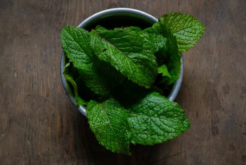 glace a la menthe 3