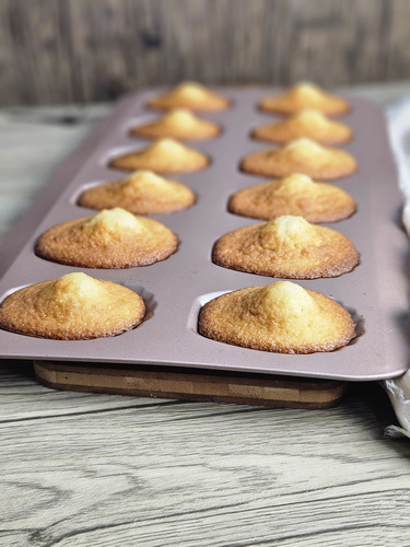 madeleines 2