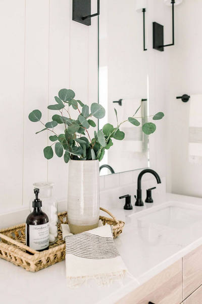 fausses tiges eucalyptus
