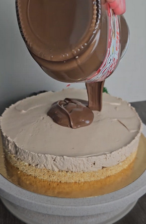 Gâteau mascarpone Nutella sans cuisson sur base de petits beurres, décoré de vermicelles de chocolat