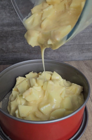 moelleux aux pommes 2