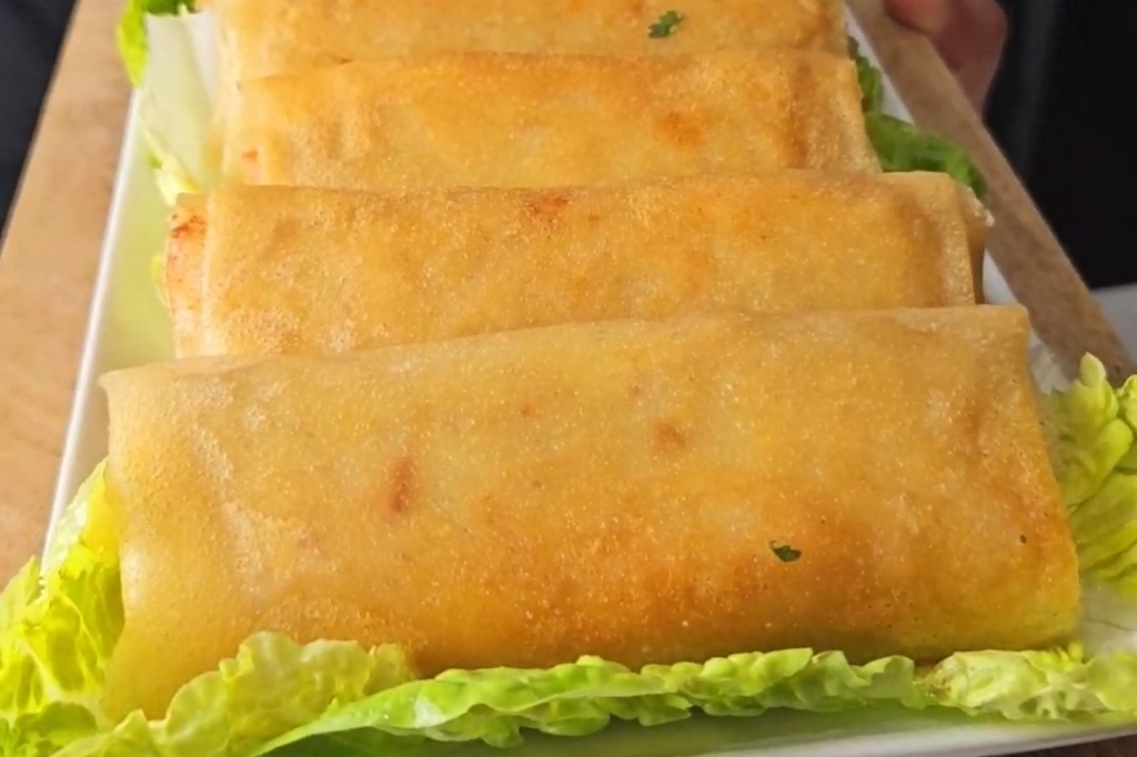 Bricks au poulet