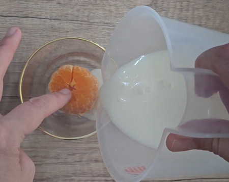 gelee de lait aux fruits 2