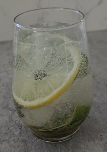 virgin mojito 3