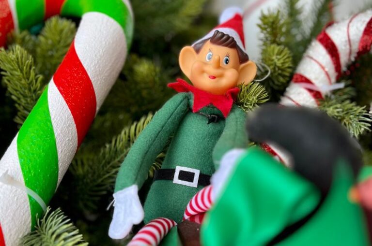 29 idees rigolotes de lutin farceur