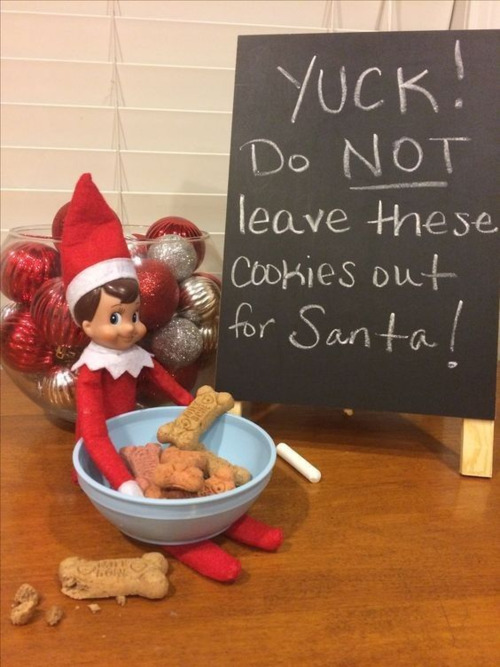 idees rigolotes de lutin farceur 28