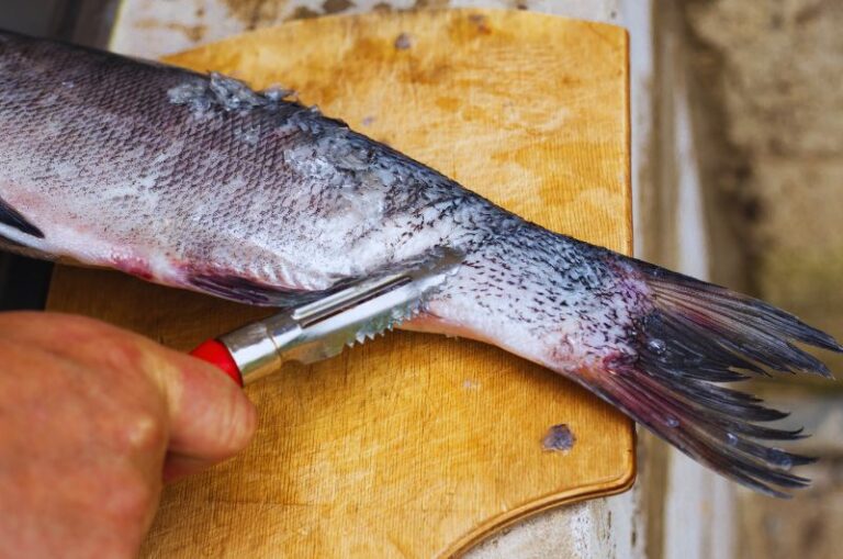 les meilleurs ecailleurs a poisson 1