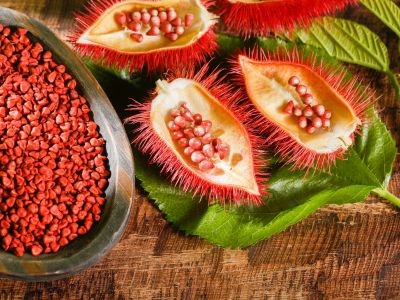 46 aliments qui sont orange 1