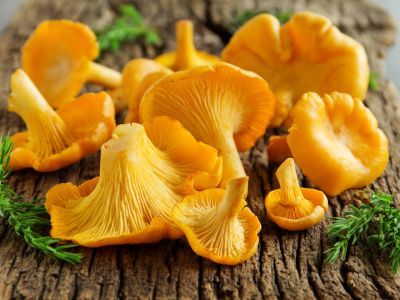 46 aliments qui sont orange 10