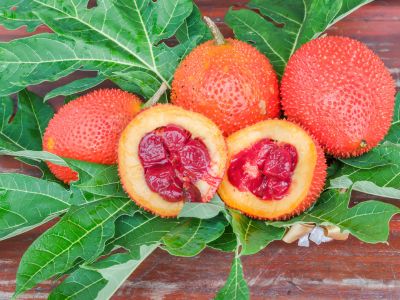 46 aliments qui sont orange 18