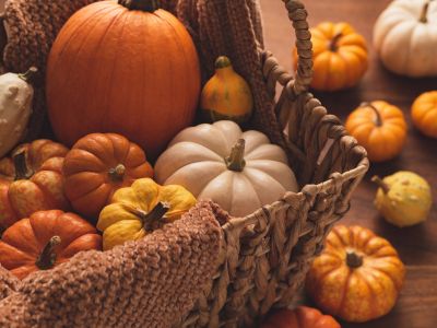 46 aliments qui sont orange 26