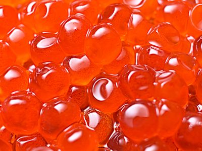 46 aliments qui sont orange 27