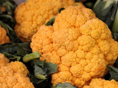 46 aliments qui sont orange 41