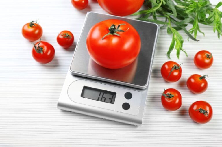 les meilleures balances de cuisine