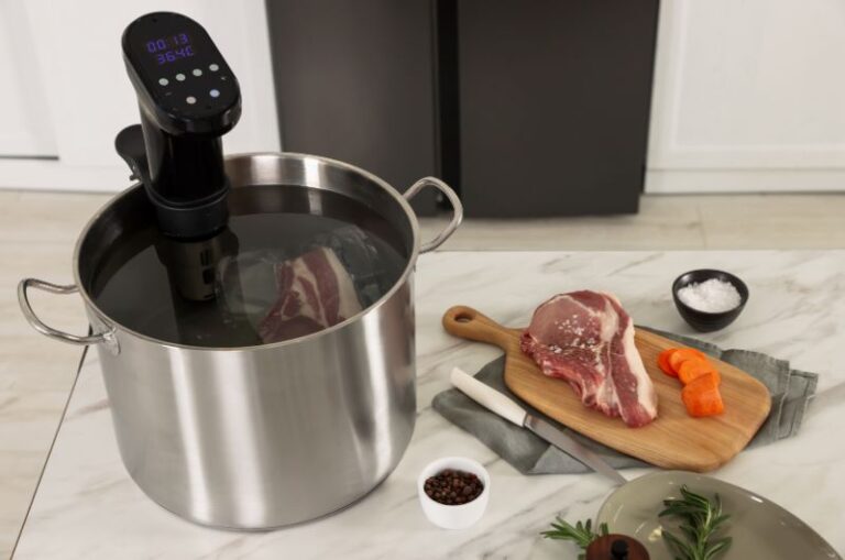 les meilleurs cuiseurs sous vide
