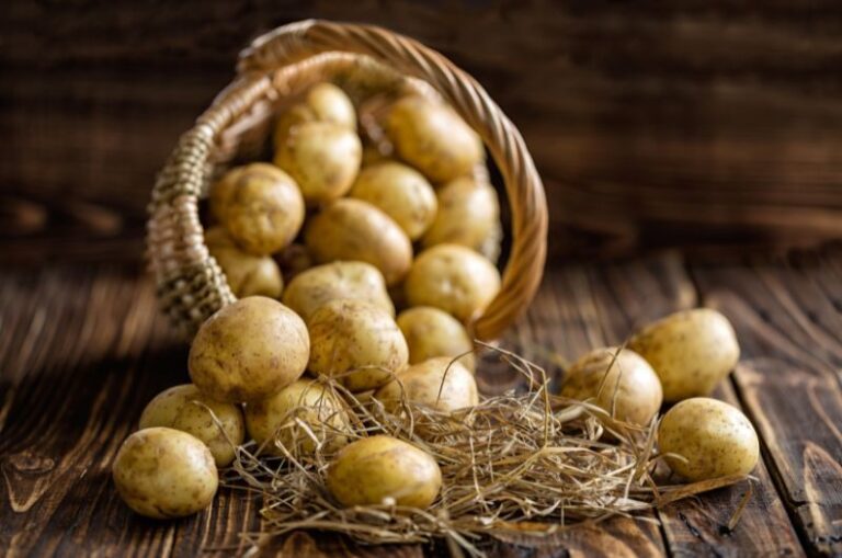 conserver les pommes de terre