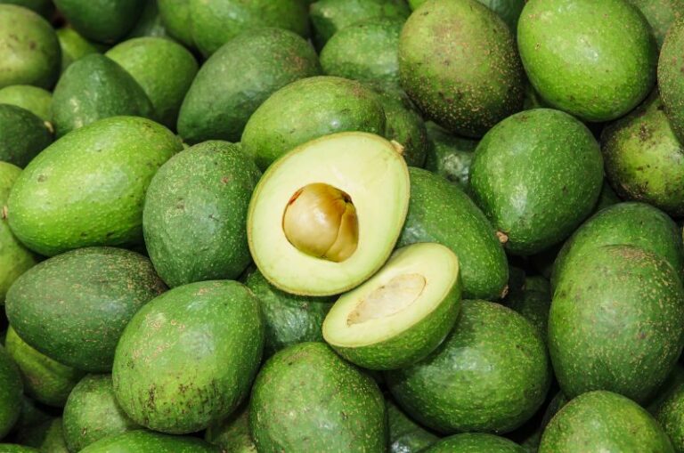 faire murir un avocat