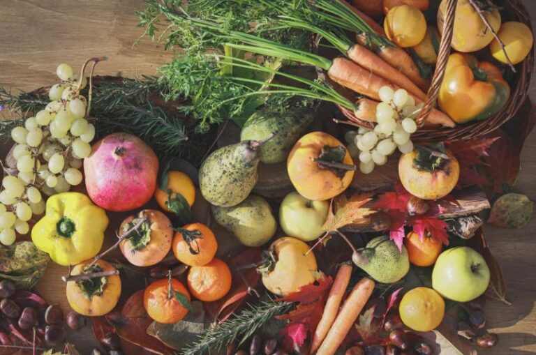 fruits et legumes dautomne