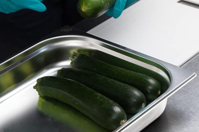 les meilleurs bacs gastronormes