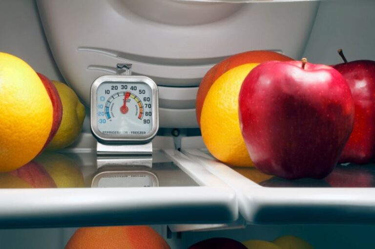 les meilleurs thermometres de refrigerateur