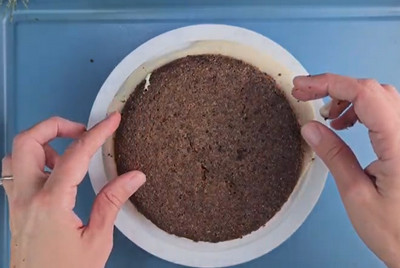 entremets flocon