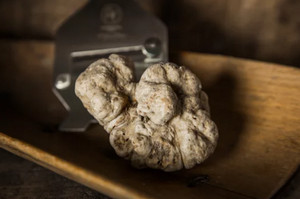 rapes a truffes 5
