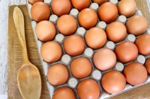 substitut aux oeufs