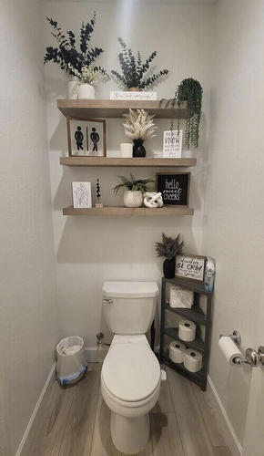décoration de toilettes
