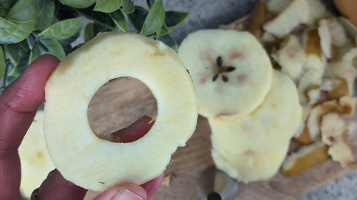 feuilletés ronds de pommes