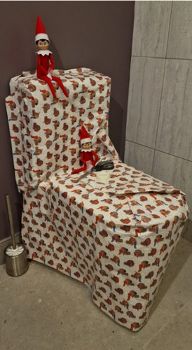 lutin farceur 56