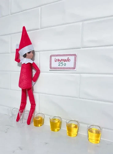 idees de lutin farceur 24