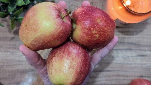 Clafoutis aux pommes fondant à la crème